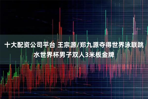十大配资公司平台 王宗源/郑九源夺得世界泳联跳水世界杯男子双人3米板金牌